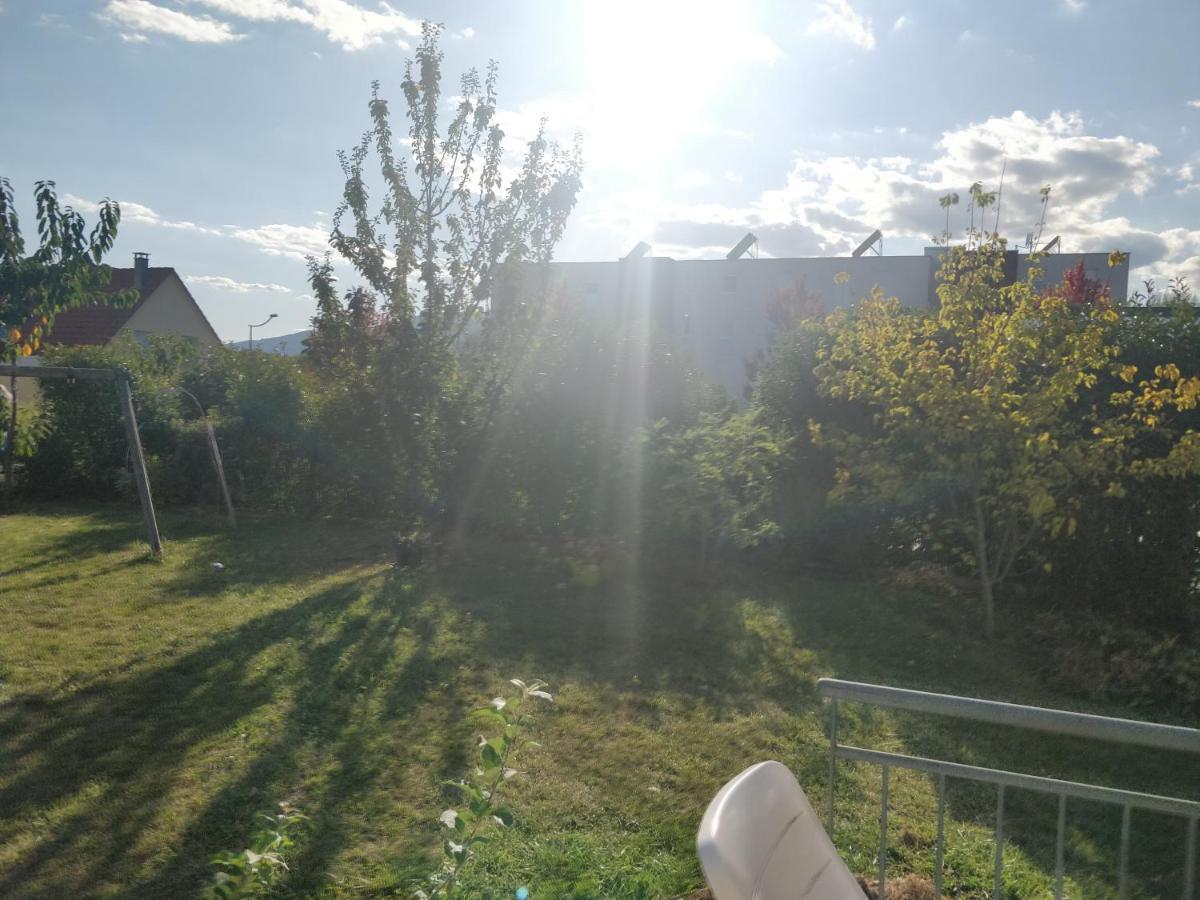 Tres Bel Appartement Neuf Et Moderne 63M2 A Obernai Exterior photo
